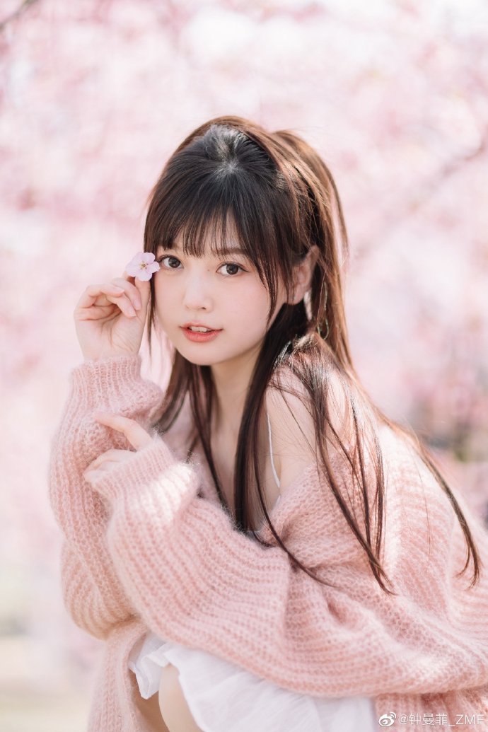 完美的日子