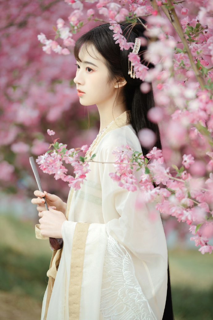 我的天才女友 封面